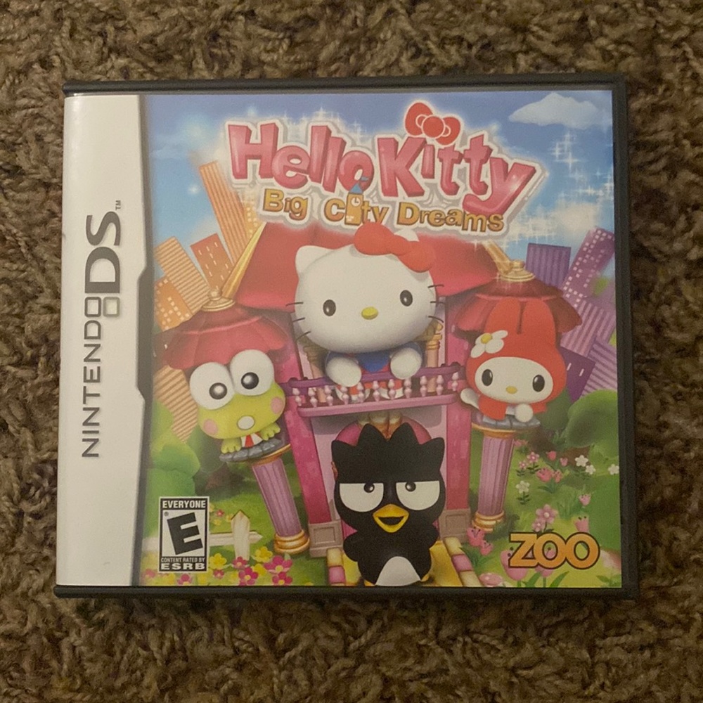 Nintendo DS game